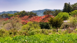 里山