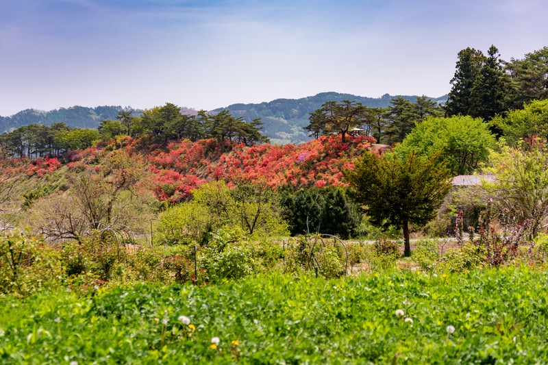 里山